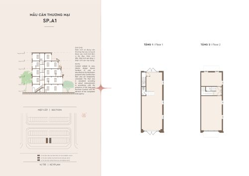 Layout điển hình