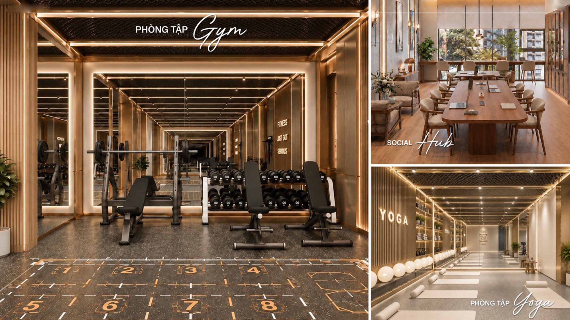 vi-tri-sunrise-bay-gym